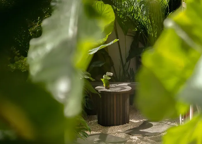 Rumah Amara - Tropical Modern, Japanese-inspired 1 Bedroom In Peaceful Jungle 别墅 乌鲁瓦图