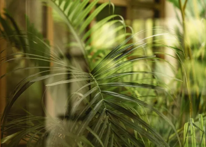 别墅 Rumah Amara - Tropical Modern, Japanese-inspired 1 Bedroom In Peaceful Jungle *